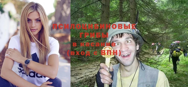 мяу мяу мука Нягань