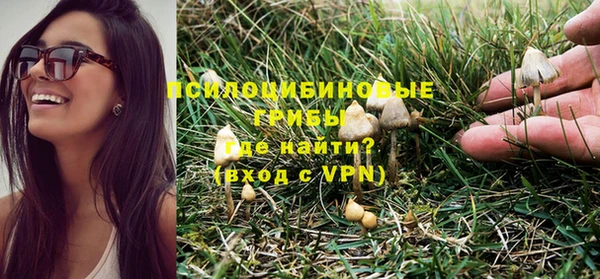 мяу мяу мука Нягань