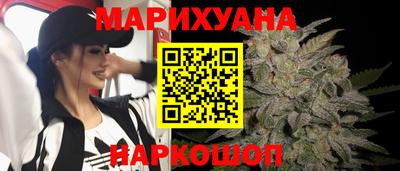 прущие крисы Бийск