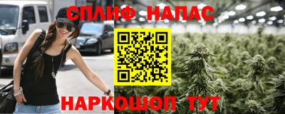 прущие крисы Бийск