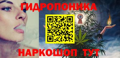 прущие крисы Бийск